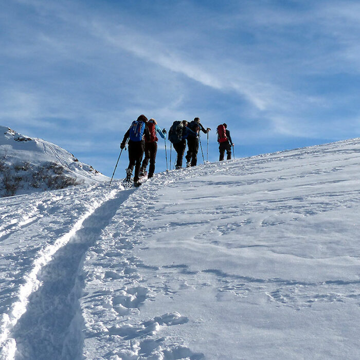 Raquette à neige depuis Lyon